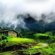 Illustration for article titled Thekkady – If Kerala is Gods own country then Thekkady is its Heaven on Earth